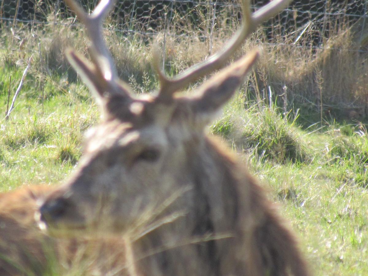 The Greannan Bed & Breakfast Blackwaterfoot Exteriér fotografie